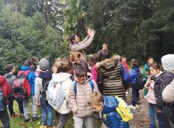 La Festa dell’Albero a Villa Cagnola