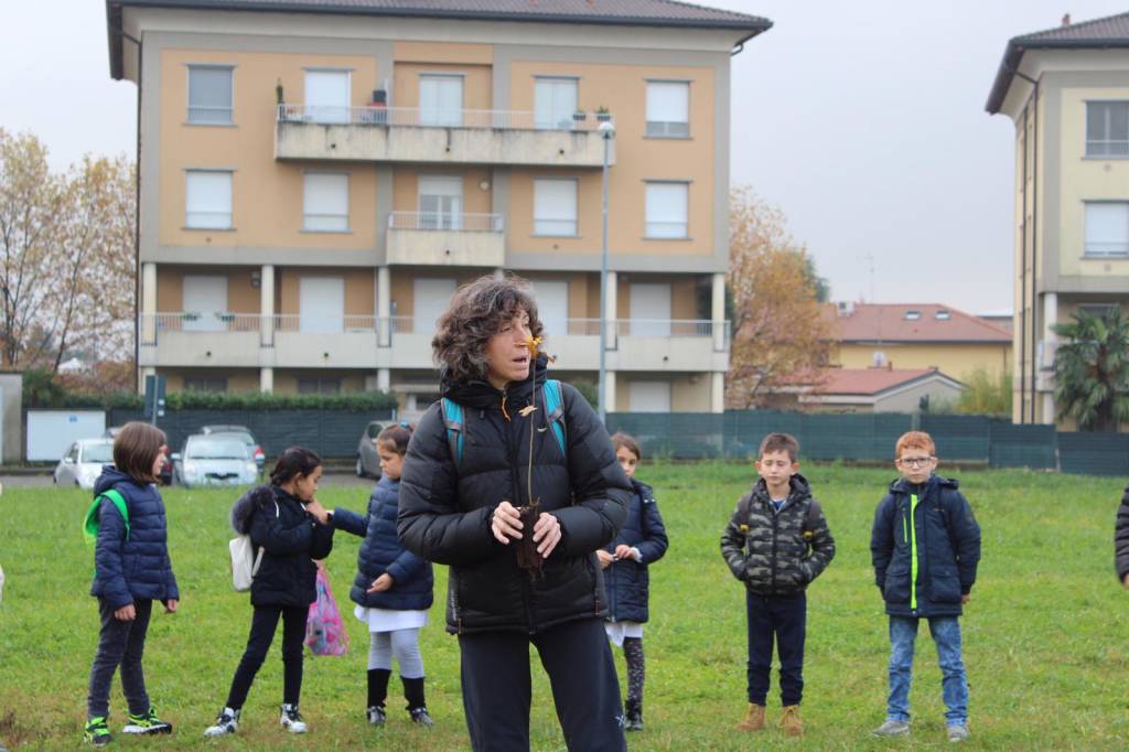 Lomazzo celebra la festa dell'albero con 50 nuove piante