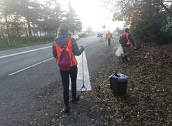 strade pulite parabiago castellanza  8 