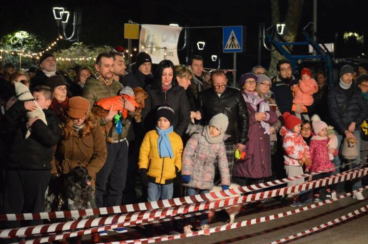 benedizione degli animali cerro maggiore  4 