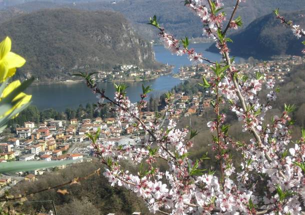 In attesa della primavera…