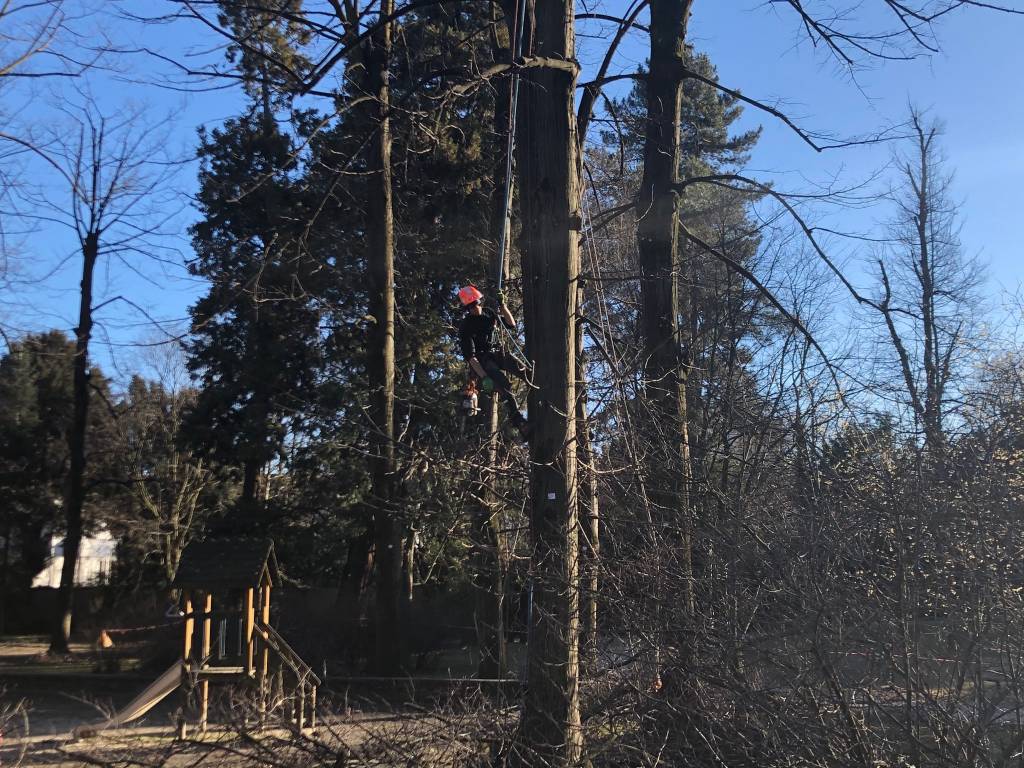 treeclimbing parco bassetti