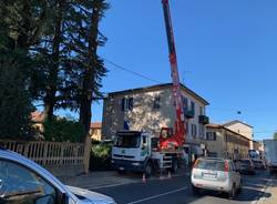 Il cedro del Libano pericolante