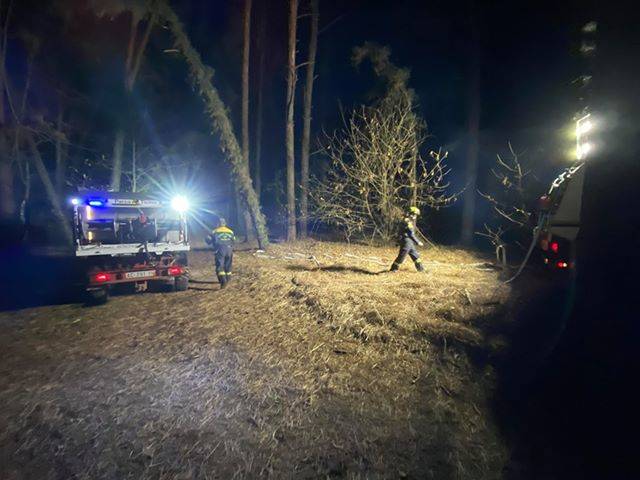 Incendio nei boschi di Somma Lombardo