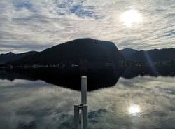 lago ceresio cormorani