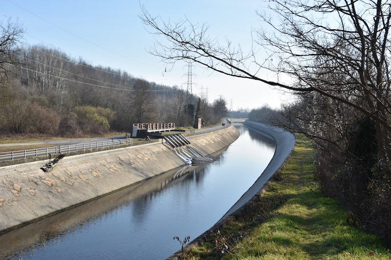 schiume naviglio 2020