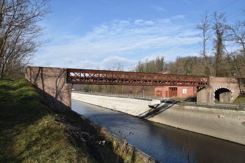 schiume naviglio 2020