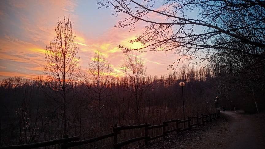 Tramonto al Parco degli Aironi