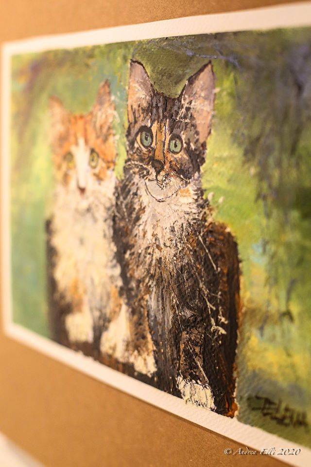 Una serata dedicata ai gatti al Museo della Ceramica (foto di Andrea Elli)