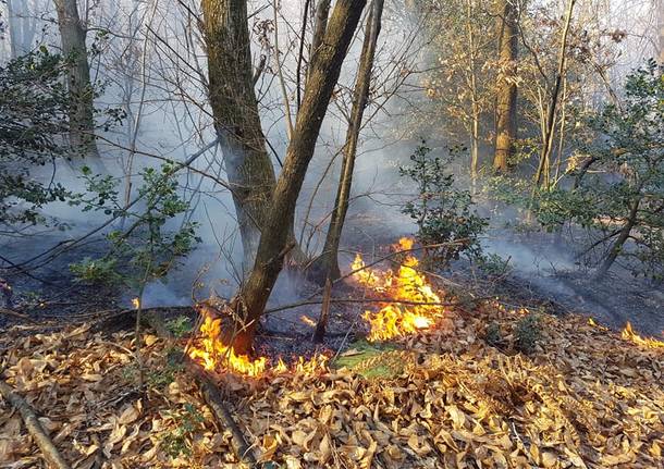 volontari antincendio boschivo brezzo di bedere