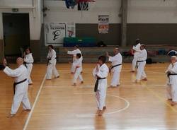 csk busto karate gruppo evergreen