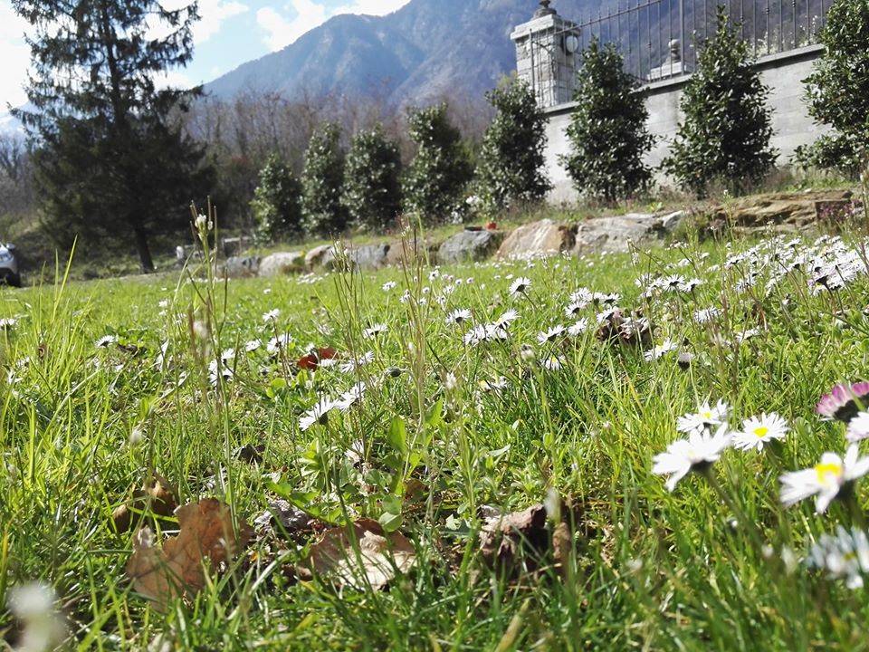 Il risveglio della primavera - Contest Parco Lura