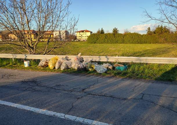 I volontari di Strade Pulite Alto Milanese ripuliscono Parabiago