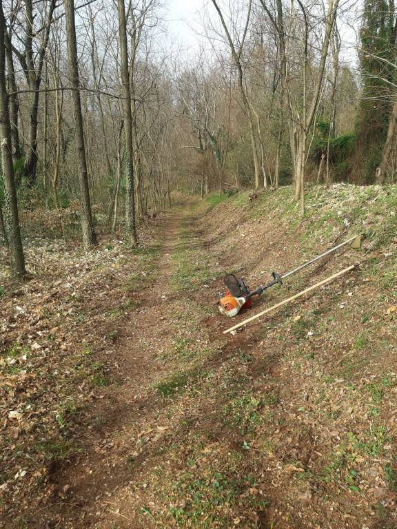 Sentieri di 14 Km a Besozzo 