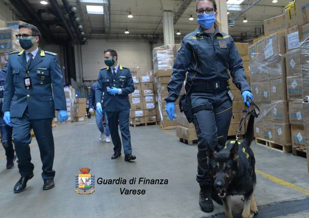 droga malpensa guardia di finanza