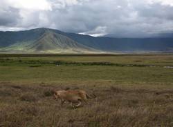 In viaggio col mercante, Tanzania. Parte 1