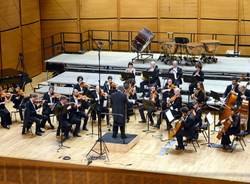 insubria chamber orchestra