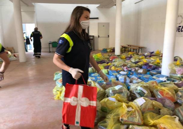 Protezione Civile Laveno 