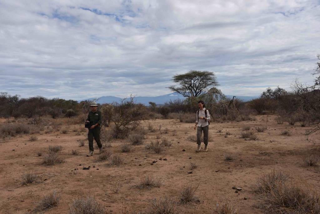 In viaggio col mercante, Tanzania. Parte 2