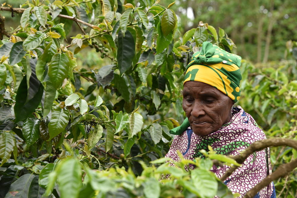 In viaggio col mercante, Tanzania. Parte 4