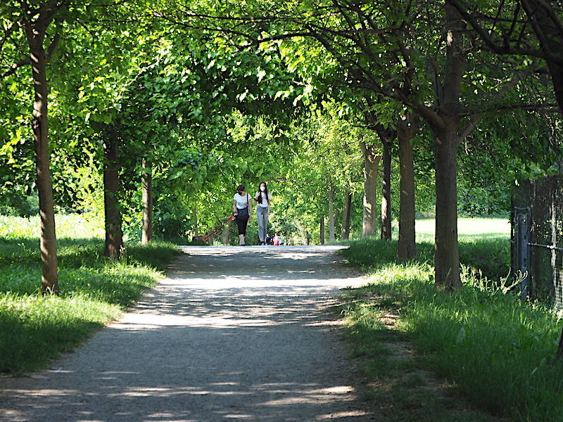 Parco del Lura (foto di Roberto Gernetti)