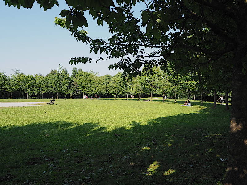 Parco del Lura (foto di Roberto Gernetti)