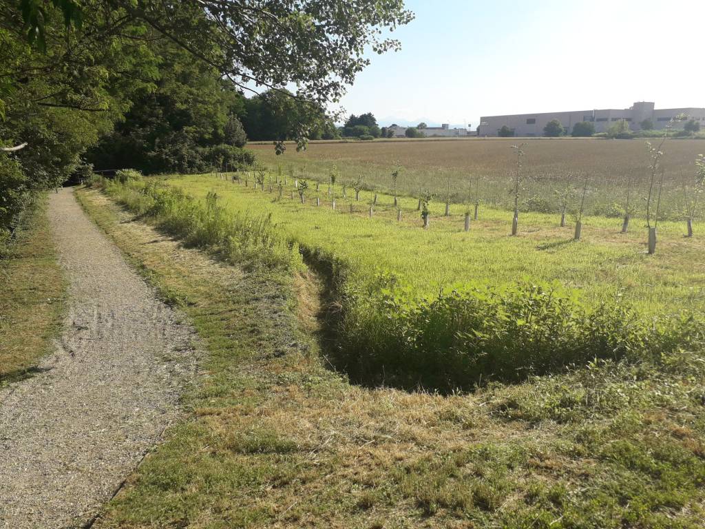 Progetto "Sistemi Verdi": gli interventi realizzati nel Parco dei Mughetti 