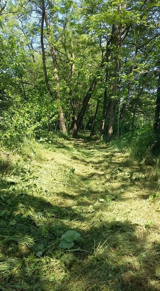 Taglio di erba e rovi al Parco dei Mughetti