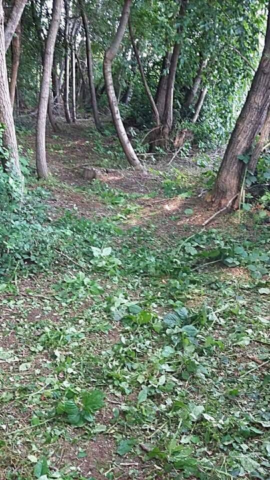 Taglio di erba e rovi al Parco dei Mughetti