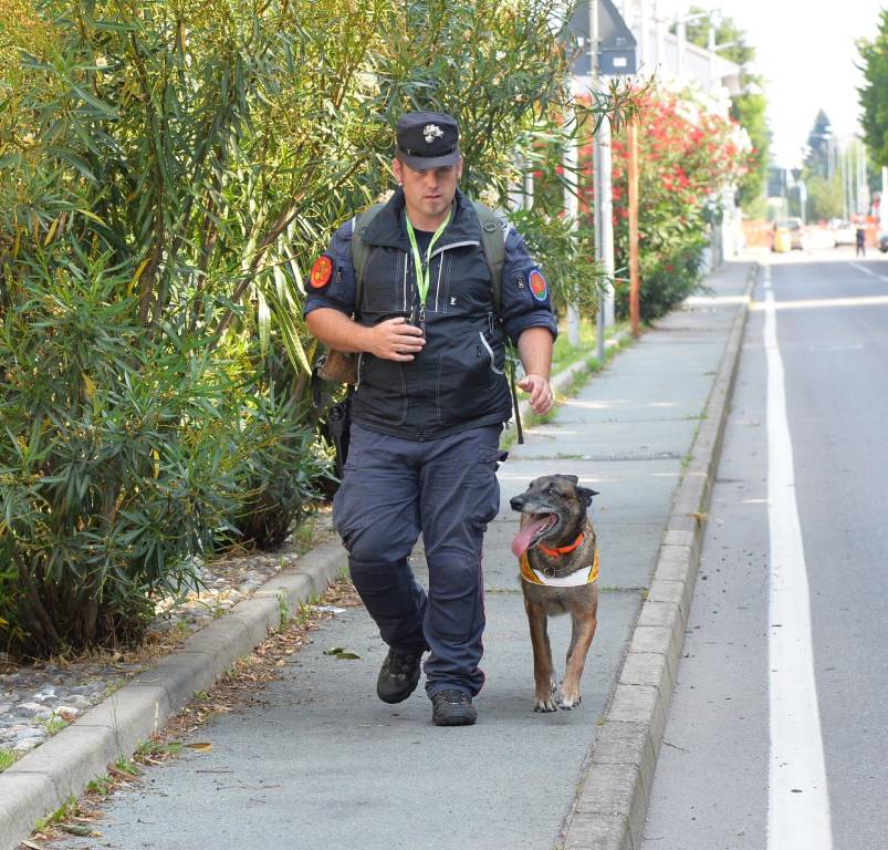 Ancora in azione “Puma“, il cane antiveleno