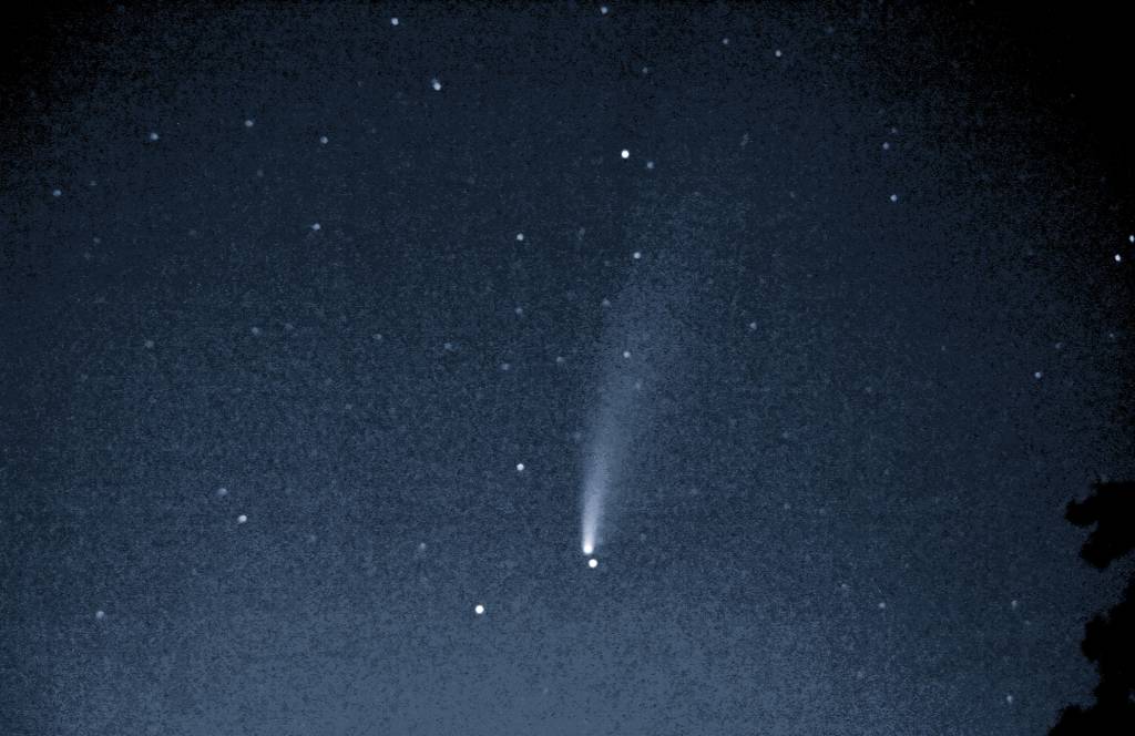 Cometa Neowise