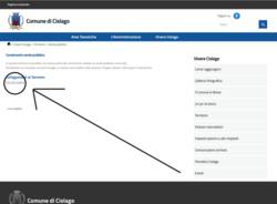 Cislago: sul sito del Comune il censimento del verde pubblico