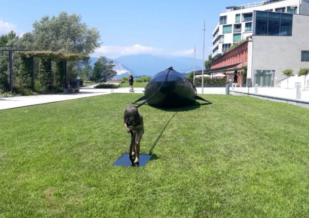 Una balena sul lungolago di Laveno