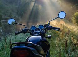 moto natura bosco