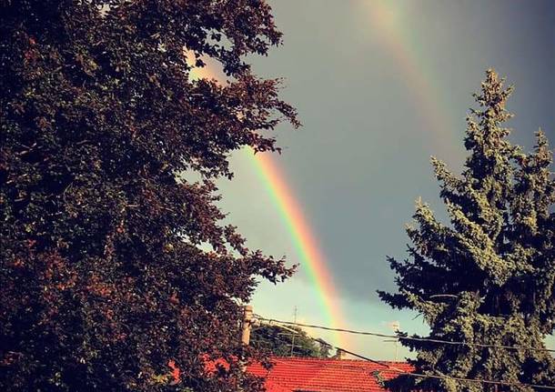 L’arcobaleno dei lettori