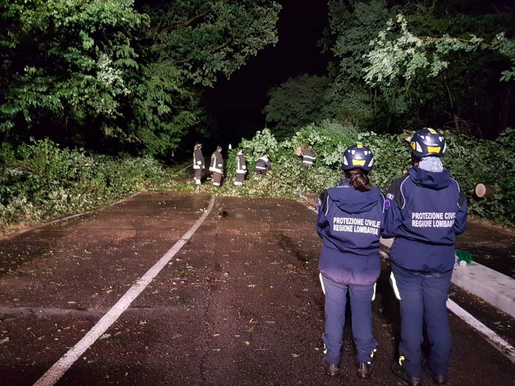 Maltempo, quattro alberi caduti in via Marelli a Cerro Maggiore