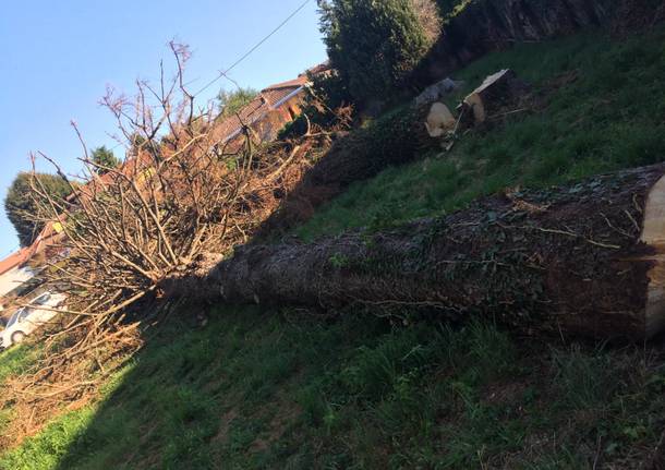 Primi interventi sul Lascito Aielli Somma Lombardo