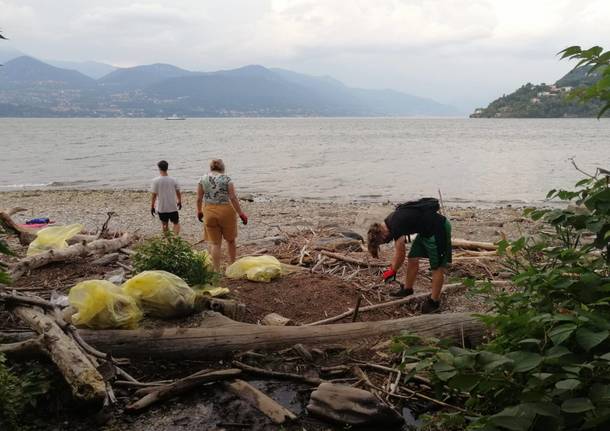 Pulizia della spiaggia del Fortino a Laveno Mombello