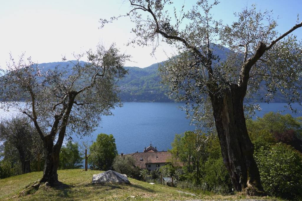 Villa Carlotta - Giardini