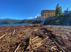 La \"marea\" su alberi e legname sul Lago Maggiore