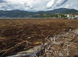 La \"marea\" su alberi e legname sul Lago Maggiore