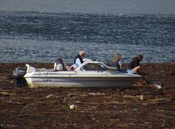 La \"marea\" su alberi e legname sul Lago Maggiore