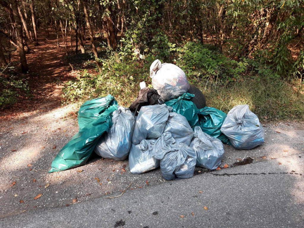 Gerenzano-Rescaldina, il Gruppo Camminata Ecologica ripulisce il Bosco del Rugareto