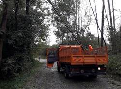 Varese, Alberi caduti per il maltempo a Bizzozero