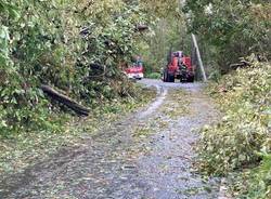 Alberi caduti, strada chiusa tra Brissago Valtravaglia e Roggiano