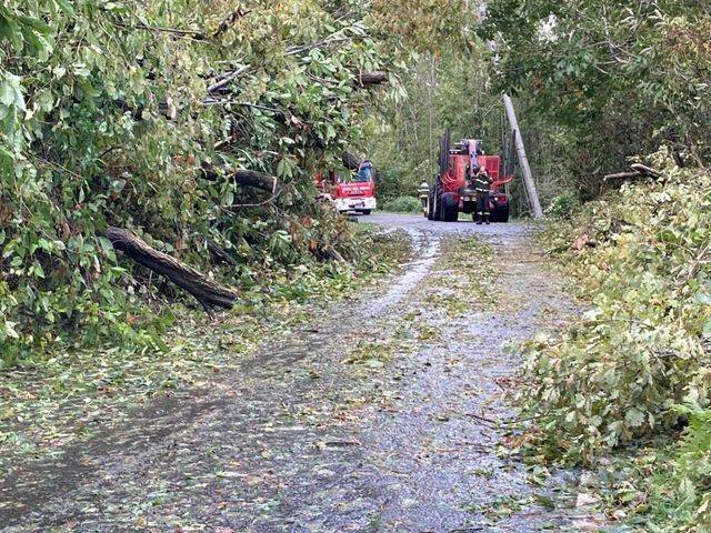 Alberi caduti, strada chiusa tra Brissago Valtravaglia e Roggiano