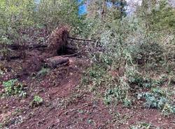 Alberi caduti, strada chiusa tra Brissago Valtravaglia e Roggiano