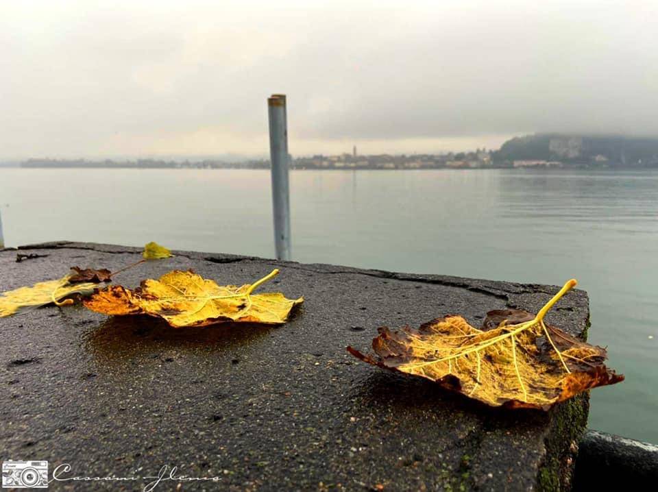 Autunno - jilenia cassani