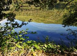 Colori e rifelssi sul lago di Ghirla