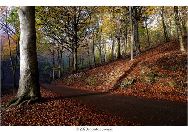 Una strada d’autunno